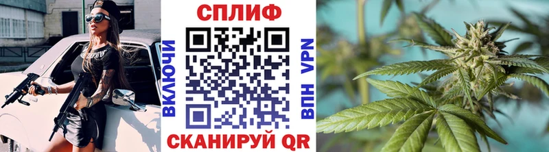 Бошки марихуана сатива  Зверево 